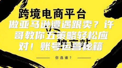 做亚马逊遭遇跟卖？许哥教你五策略轻松应对！账号运营秘籍