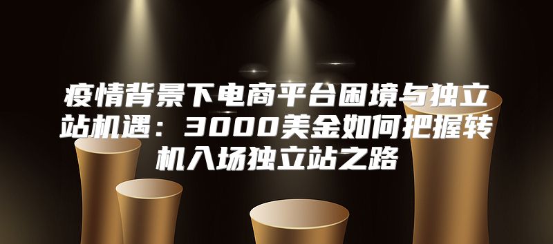 疫情背景下电商平台困境与独立站机遇：3000美金如何把握转机入场独立站之路