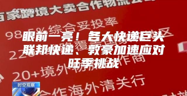 眼前一亮！各大快递巨头联邦快递、敦豪加速应对旺季挑战