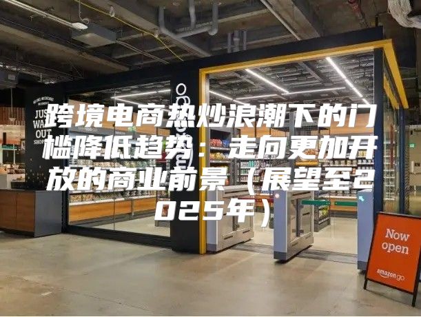 跨境电商热炒浪潮下的门槛降低趋势：走向更加开放的商业前景展望至2025年