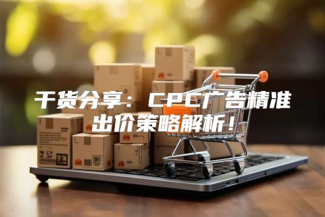 干货分享：CPC广告精准出价策略解析！