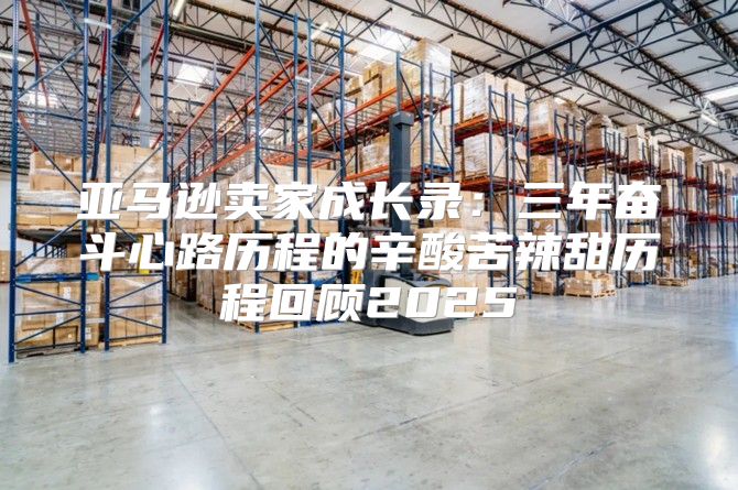 亚马逊卖家成长录：三年奋斗心路历程的辛酸苦辣甜历程回顾2025