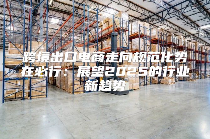 跨境出口电商走向规范化势在必行：展望2025的行业新趋势