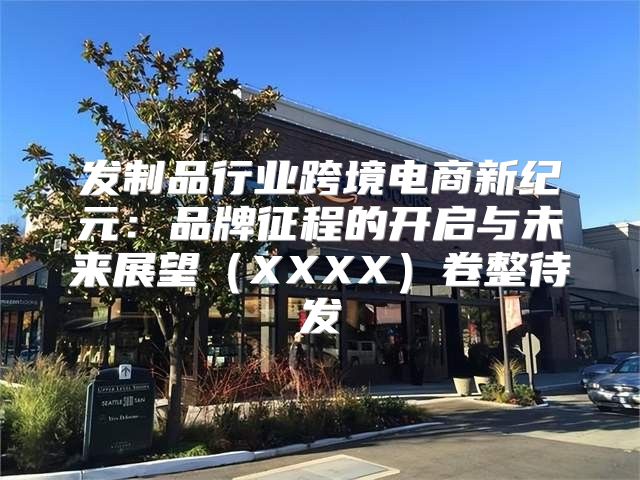 发制品行业跨境电商新纪元：品牌征程的开启与未来展望XXXX卷整待发