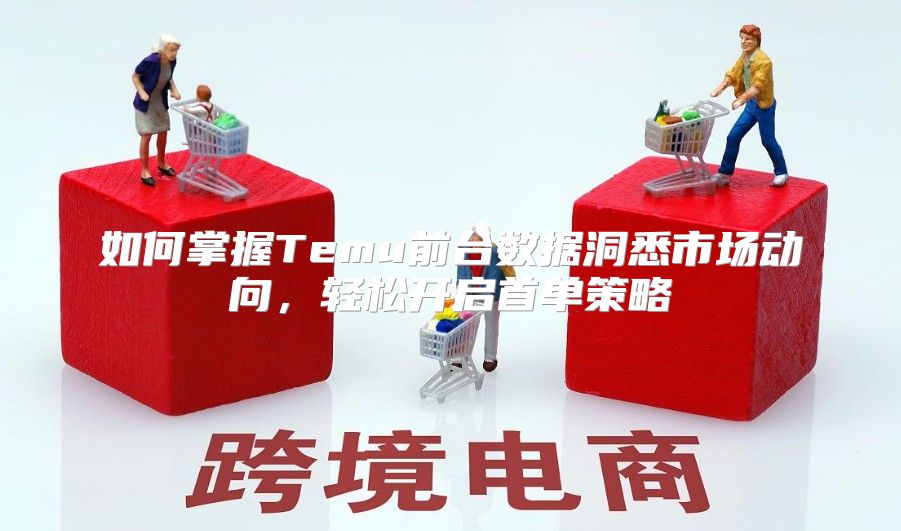 如何掌握Temu前台数据洞悉市场动向，轻松开启首单策略