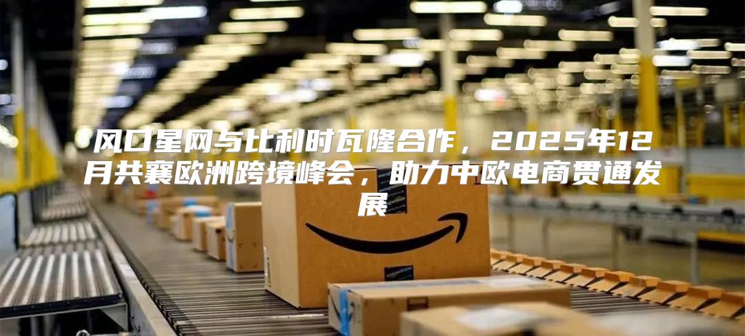 风口星网与比利时瓦隆合作，2025年12月共襄欧洲跨境峰会，助力中欧电商贯通发展