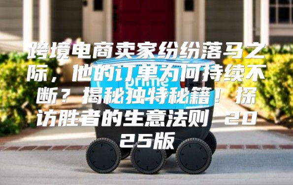 跨境电商卖家纷纷落马之际，他的订单为何持续不断？揭秘独特秘籍！探访胜者的生意法则 2025版