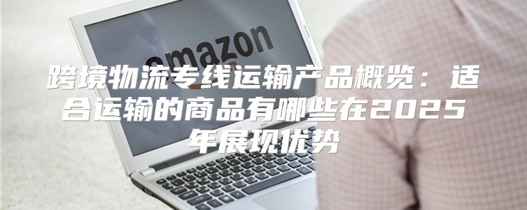 跨境物流专线运输产品概览：适合运输的商品有哪些在2025年展现优势