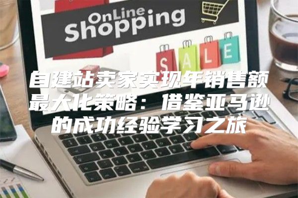 自建站卖家实现年销售额最大化策略：借鉴亚马逊的成功经验学习之旅
