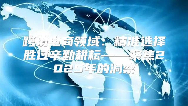 跨境电商领域：精准选择胜过辛勤耕耘——聚焦2025年的洞察