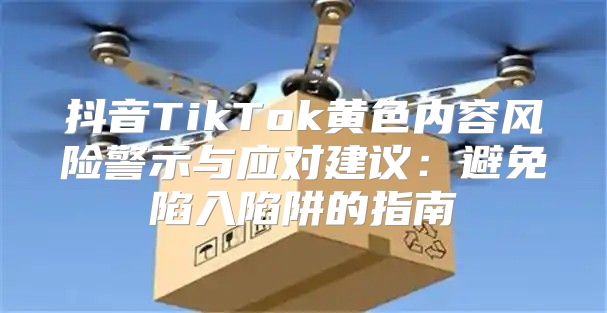抖音TikTok黄色内容风险警示与应对建议：避免陷入陷阱的指南