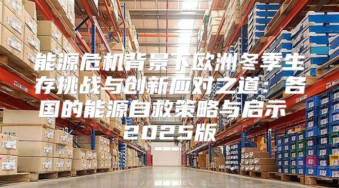 能源危机背景下欧洲冬季生存挑战与创新应对之道：各国的能源自救策略与启示 2025版