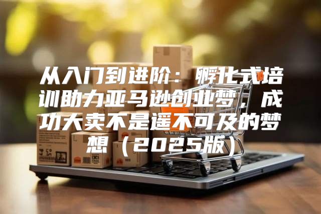 从入门到进阶：孵化式培训助力亚马逊创业梦，成功大卖不是遥不可及的梦想2025版