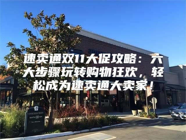 速卖通双11大促攻略：六大步骤玩转购物狂欢，轻松成为速卖通大卖家！