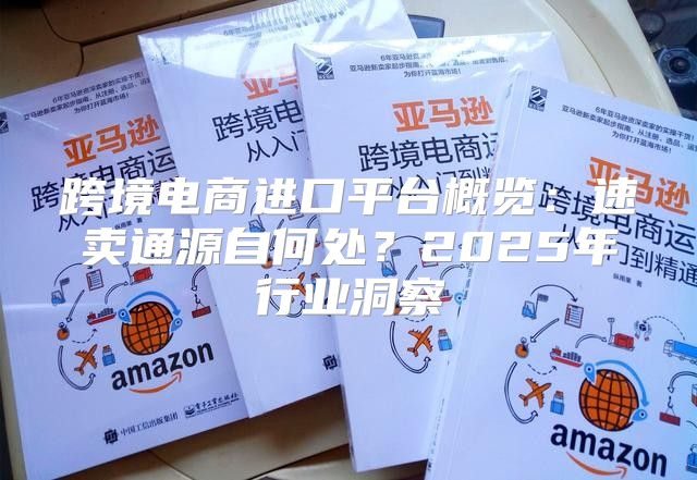 跨境电商进口平台概览：速卖通源自何处？2025年行业洞察