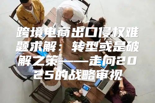 跨境电商出口侵权难题求解：转型或是破解之策——走向2025的战略审视