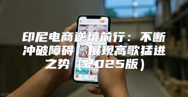 印尼电商逆境前行：不断冲破障碍，展现高歌猛进之势2025版