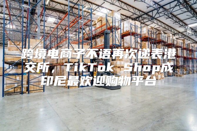 跨境电商子不语再次递表港交所，TikTok Shop成印尼最欢迎购物平台