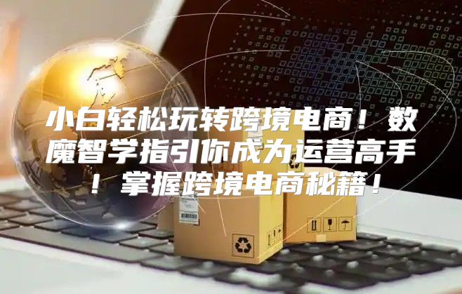 小白轻松玩转跨境电商！数魔智学指引你成为运营高手！掌握跨境电商秘籍！