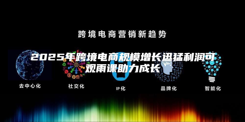 2025年跨境电商规模增长迅猛利润可观雨课助力成长