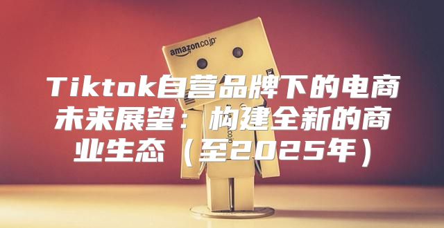 Tiktok自营品牌下的电商未来展望：构建全新的商业生态至2025年