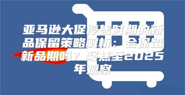 亚马逊大促停售时期的新品保留策略解析：会保留新品期吗？聚焦至2025年观察