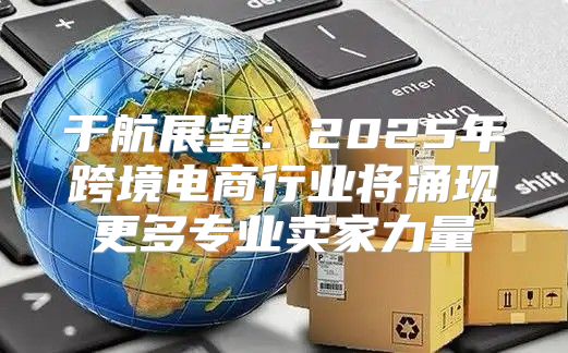 于航展望：2025年跨境电商行业将涌现更多专业卖家力量