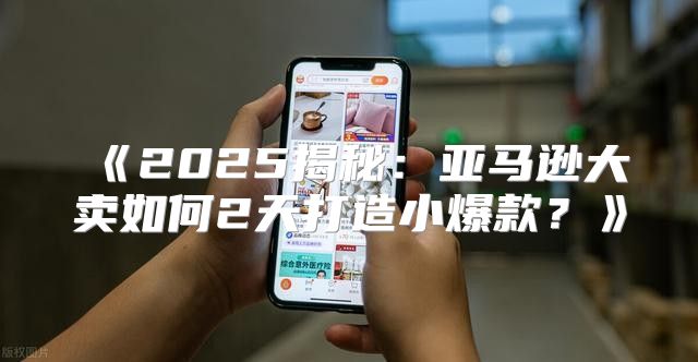 2025揭秘：亚马逊大卖如何2天打造小爆款？