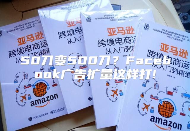 50刀变500刀？Facebook广告扩量这样打!