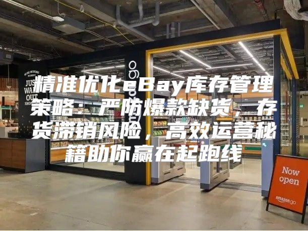 精准优化eBay库存管理策略：严防爆款缺货，存货滞销风险，高效运营秘籍助你赢在起跑线