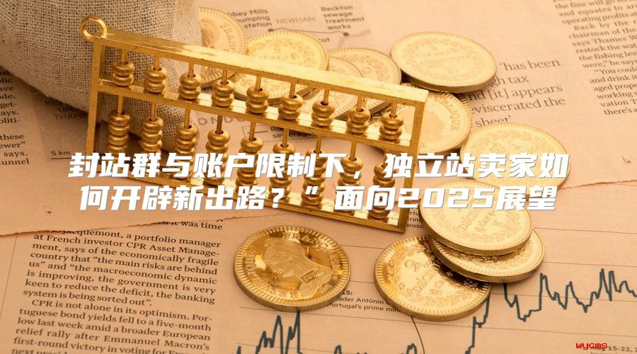 封站群与账户限制下，独立站卖家如何开辟新出路？”面向2025展望