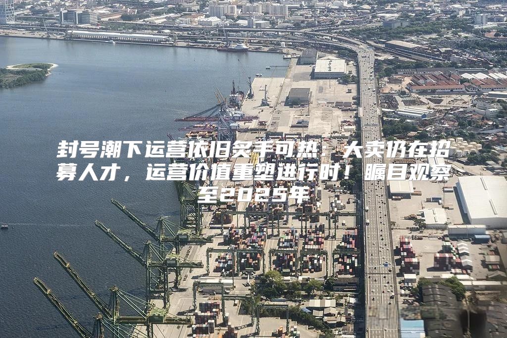 封号潮下运营依旧炙手可热：大卖仍在招募人才，运营价值重塑进行时！瞩目观察至2025年