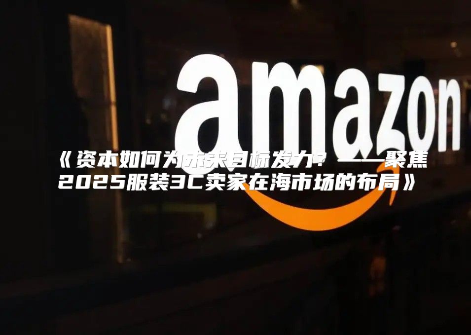 资本如何为未来目标发力？——聚焦2025服装3C卖家在海市场的布局