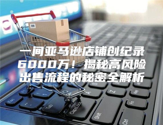 一间亚马逊店铺创纪录6000万！揭秘高风险出售流程的秘密全解析