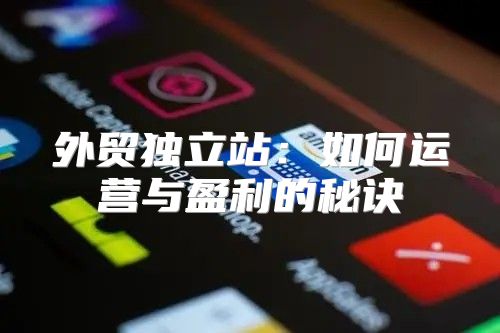 外贸独立站：如何运营与盈利的秘诀