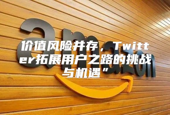 价值风险并存，Twitter拓展用户之路的挑战与机遇”