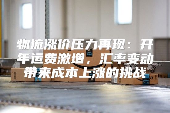 物流涨价压力再现：开年运费激增，汇率变动带来成本上涨的挑战