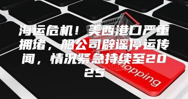 海运危机！美西港口严重拥堵，船公司辟谣停运传闻，情况紧急持续至2025