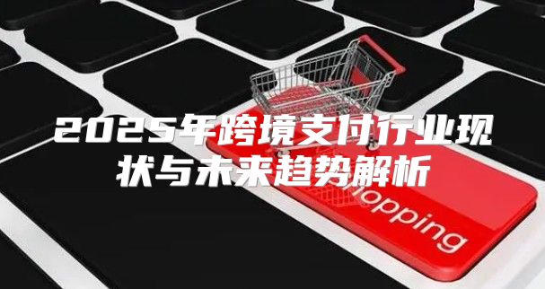 2025年跨境支付行业现状与未来趋势解析