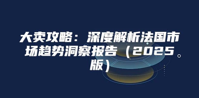 大卖攻略：深度解析法国市场趋势洞察报告2025版