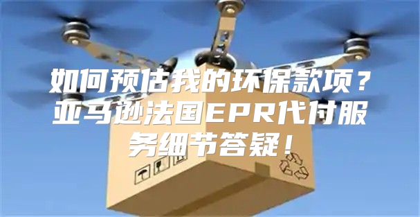 如何预估我的环保款项？亚马逊法国EPR代付服务细节答疑！