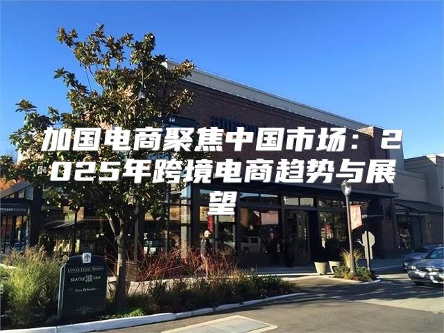 加国电商聚焦中国市场：2025年跨境电商趋势与展望