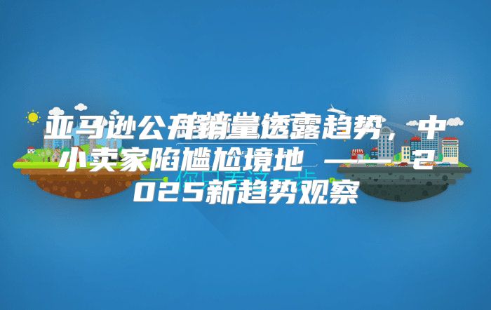亚马逊公开销量透露趋势，中小卖家陷尴尬境地 —— 2025新趋势观察
