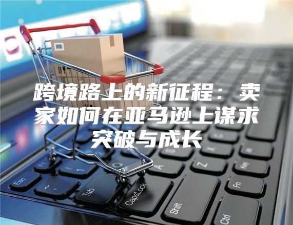 跨境路上的新征程：卖家如何在亚马逊上谋求突破与成长