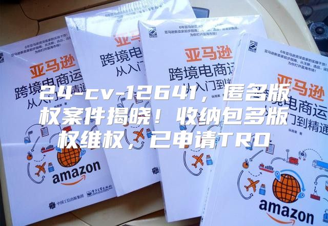 24-cv-12641，匿名版权案件揭晓！收纳包多版权维权，已申请TRO