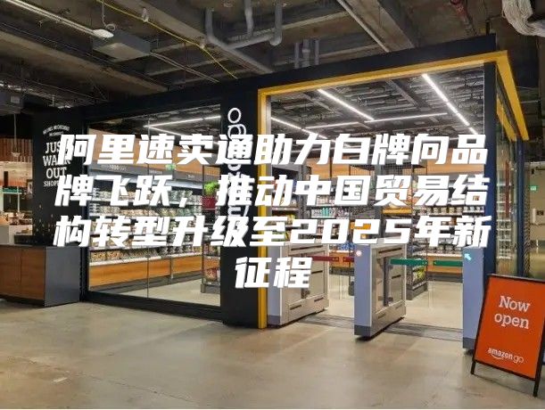 阿里速卖通助力白牌向品牌飞跃，推动中国贸易结构转型升级至2025年新征程