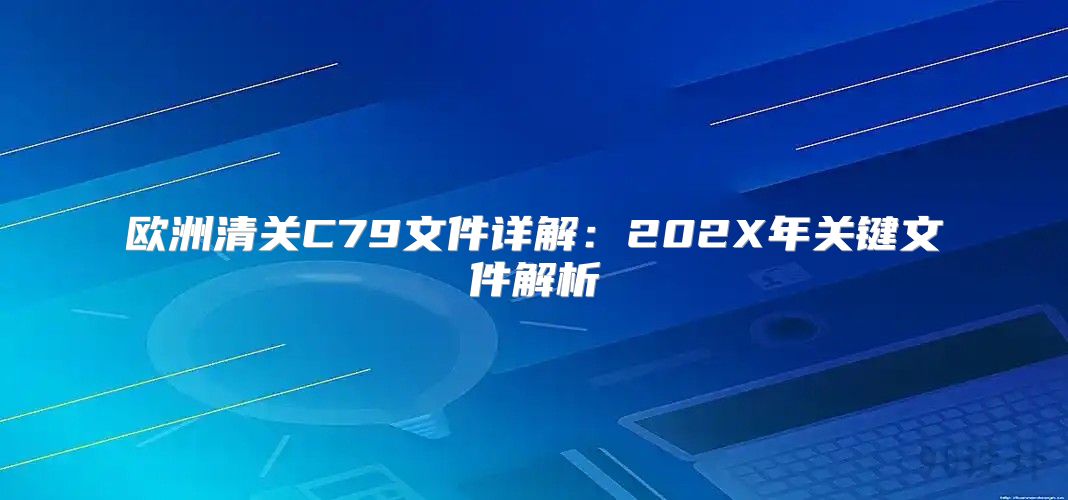 欧洲清关C79文件详解：202X年关键文件解析