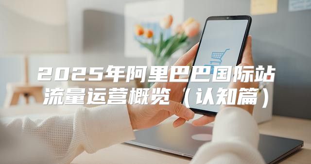 2025年阿里巴巴国际站流量运营概览认知篇