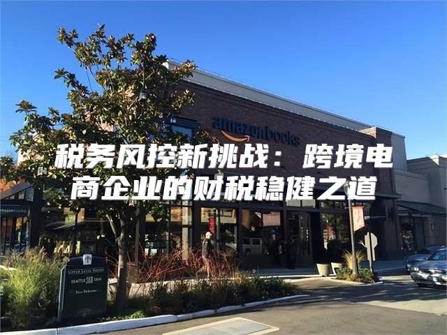税务风控新挑战：跨境电商企业的财税稳健之道