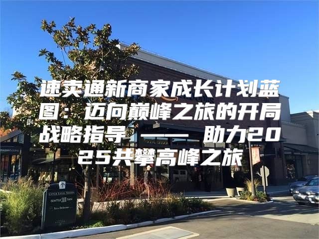 速卖通新商家成长计划蓝图：迈向巅峰之旅的开局战略指导 —— 助力2025共攀高峰之旅